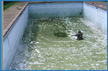 pool picture _a